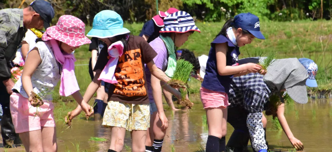 Well Learning Project | 立教女学院小学校