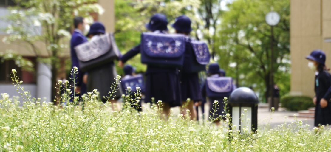 学校紹介