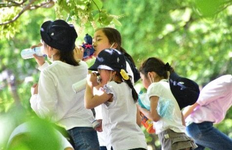 たくさん走ったあとは、日陰でひと休み！