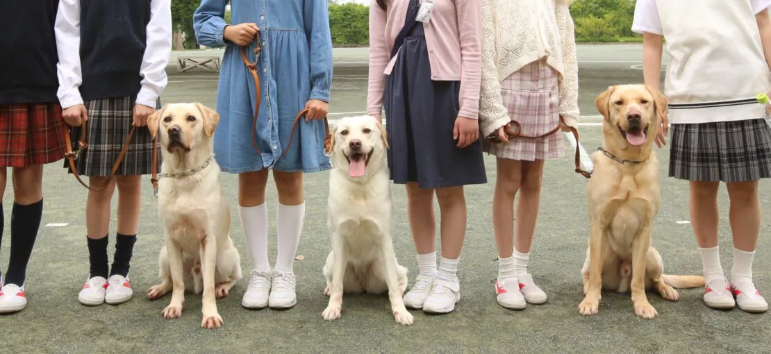 2021年度 入学式 | 立教女学院小学校