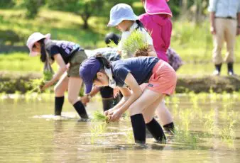 小学校の教育 | 立教女学院小学校