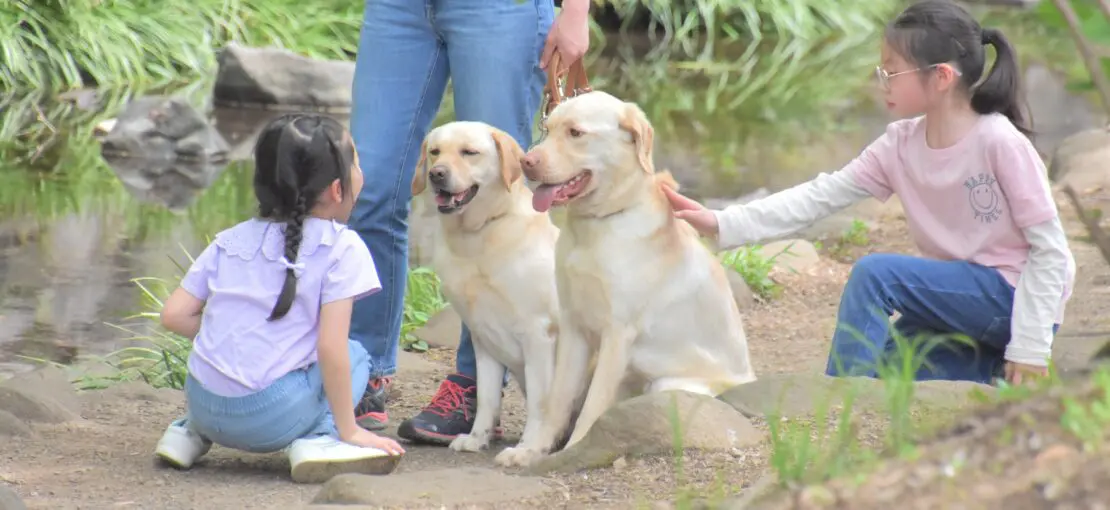 動物介在教育 | 立教女学院小学校