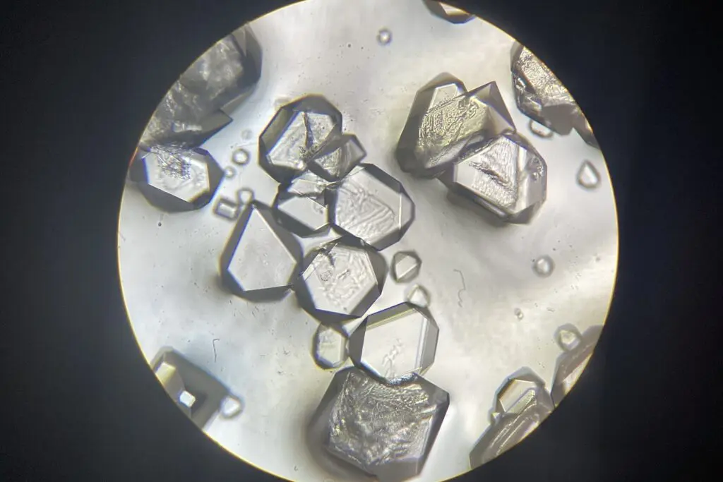 キラキラ輝く… | 立教女学院小学校