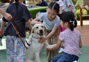 犬とのふれあい