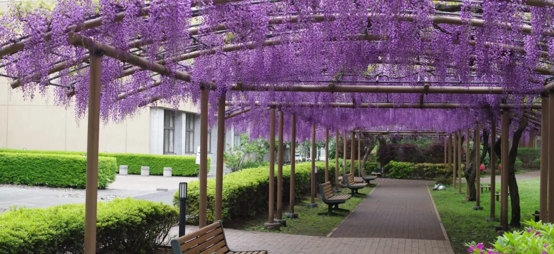 立教女学院小学校の合格願書(一部黒塗り.2021秋) 立教女学院小学校の合格願書(一部黒塗り.2021秋)