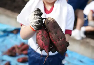 フォトブログ | 立教女学院小学校