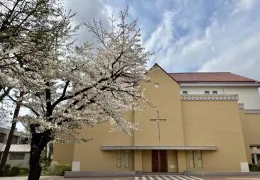 満開の桜