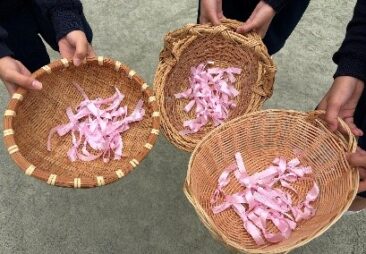 小学校だより第335号