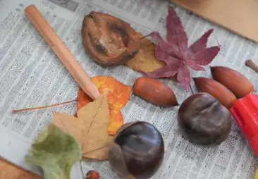 立教小学校50年誌 CATEGORY 立教 | IXSIA SHOP