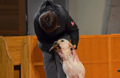 「Fetch」の指示で落ちた財布を拾い、「出して」と言われるまで落とさずに待ちます。