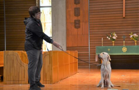 「Wait」の指示がある時は、引き紐を引かれても動かずに待っています。