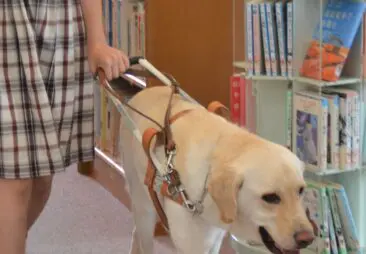 立教小学校50年誌 立教小学校