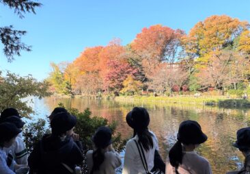 バードウォッチング