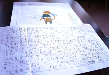 フォトブログ | 立教女学院小学校