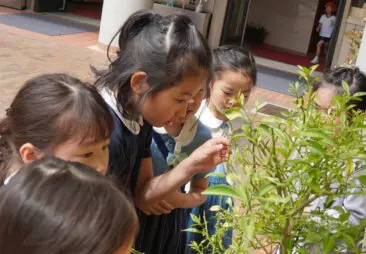フォトブログ | 立教女学院小学校