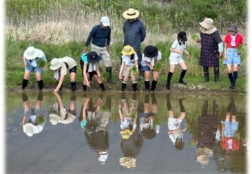 小学校だより第344号