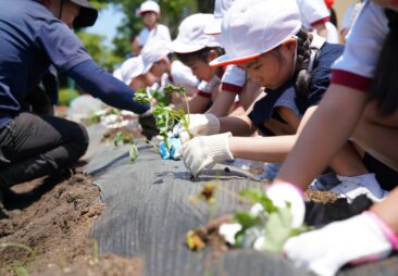 フォトブログ | 立教女学院小学校